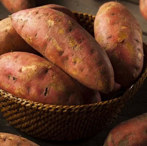 Brown A Grade Sweet Potato For Human Consumption