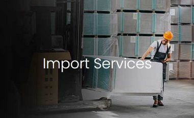 Import Services