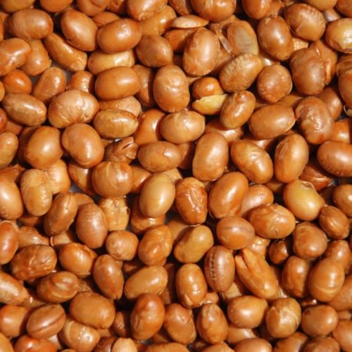 Soy Nuts For Human Consumption