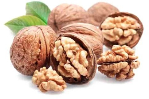 Natural Walnuts For Oil, Human Consumption