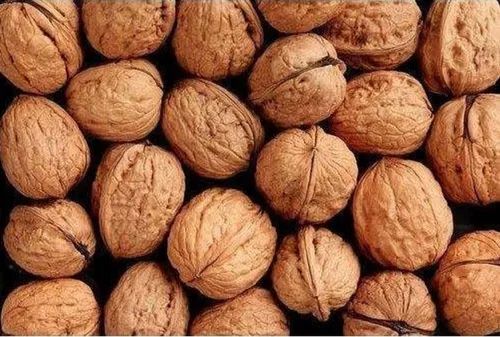 Organic Whole Walnuts, Packaging Type : Bag