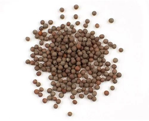 Brown Mustard Seeds For Spices