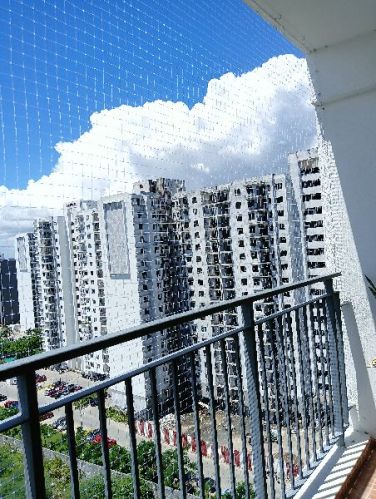 Bird Netting Service