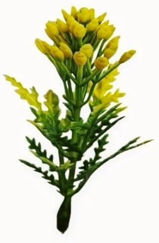 Moti Dark Green Yellow - Artificial Plastic Plant Fillers