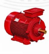 Fire Fighting Motor