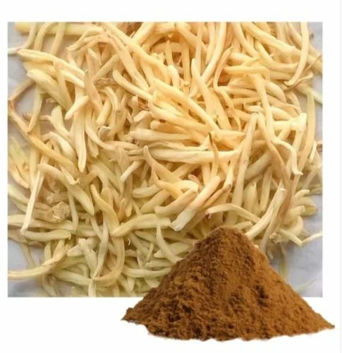 Safed Musli Powder For Medicine Use