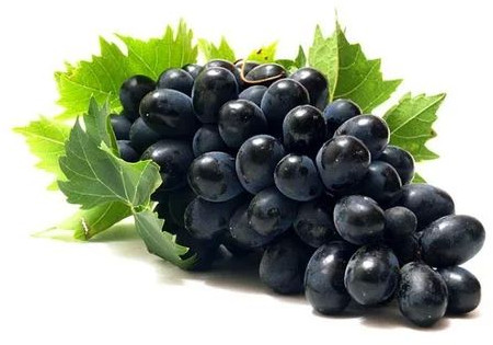 Fresh Black Grapes, Taste : Sweet