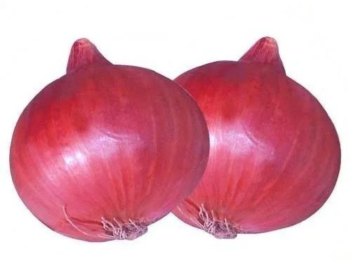 Pink Onion For Human Consumption
