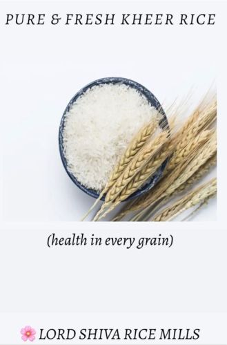 KHEER Common Hard Indian Raw Rice, Color : White 14, Purity : 99%