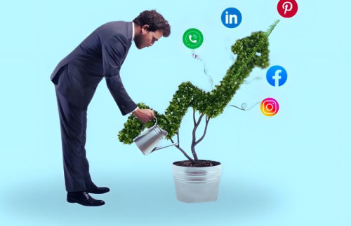 Social Media Optimization Services