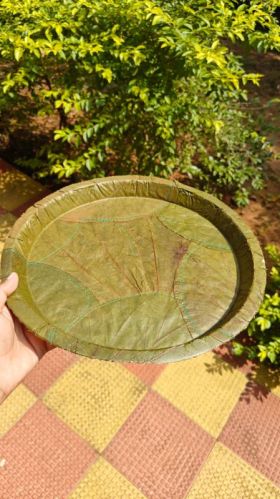 Adda Leaf Plate 12inch, Brand Name : Vanasiri