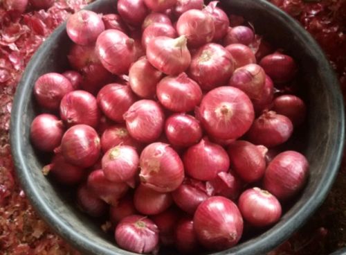 Onions, Color : Red, Form : Whole, Packaging Type : Net Bag