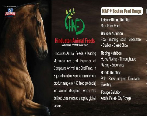 Platonic Cattle Feed