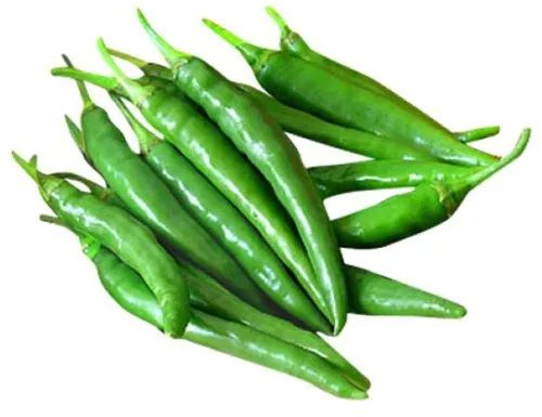 Natural A Grade Green Chilli 10-12 Days, Packaging Type : Plastic Bag, Packaging Size : 5-10 Kg