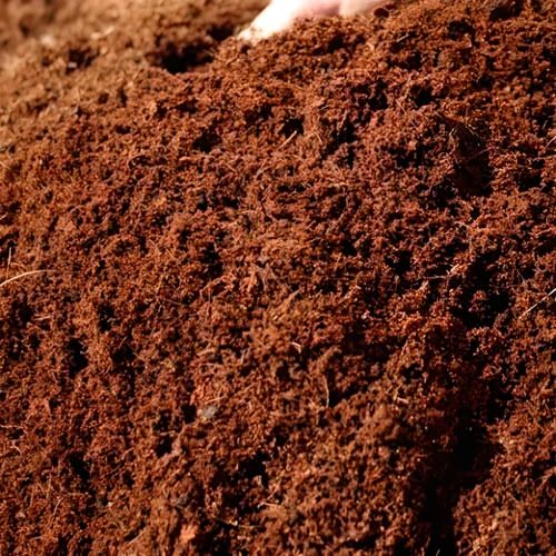 Organic Coco Peat Manure For Agriculture