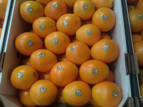 Natural Navel Orange, Packaging Type : Yellow