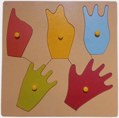 Color Coated TE-41 Wooden Counting Hand Puzzle, Color : Multicolor