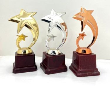 Polished PLASTIC STUDENT TROPHY For Winning Award