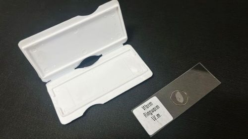 Plain Glass Microscope Slide For Laboratory