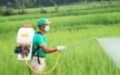 Biopesticide, Grade Standard : Industrial Grade