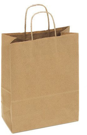 Plain Brown Duplex Paper Bag For Shopping, Gift Packaging