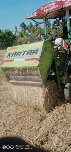 Dried Paddy Straw Cattle Feed, Packaging Size : 30kg Bale