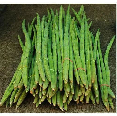 Organic Fresh Green Drumstick, Packaging Type : Plastic Bag, Packaging Size : 5-25kg For Cooking