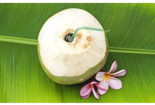 Organic Peeled Tender Coconut, Color : Green, Packaging Type : Carton Box, Packaging Size : 5-25kg