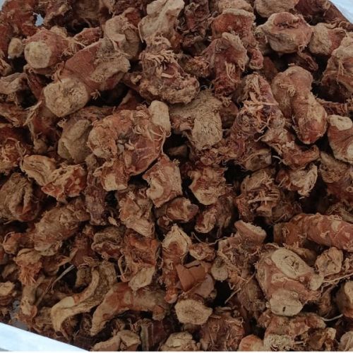 Common Dried Galangal Root, Color : Brown, Packaging Type : Plastic Bag