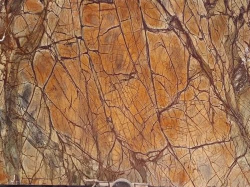 Rainforest Brown Marble For Countertops, Kitchen Top, Staircase, Walls Flooring