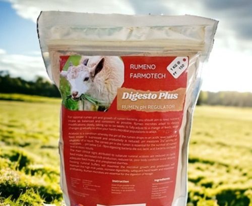 Digesto Plus | Digestive Supplements For Animals