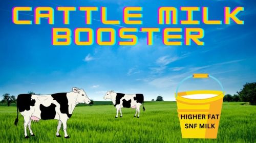 Doodh Vardhan Cattle Milk Booster