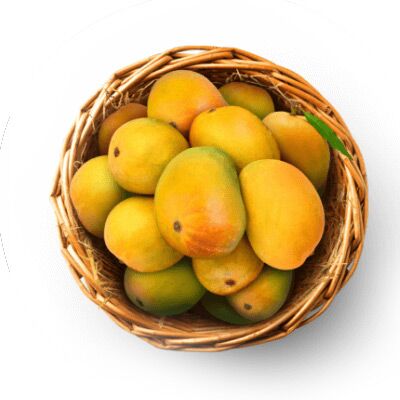 Alphonso Mangoes, Packaging Size : 10 Kg