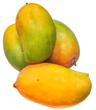 Kesar Mangoes