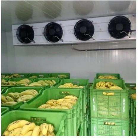 Industrial Banana Ripening Chamber