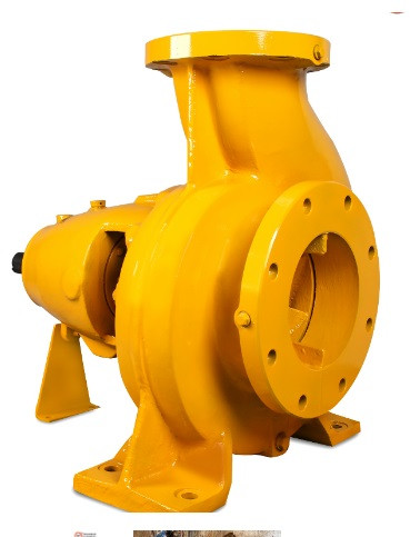 Paper and Pulp Stock Pumps