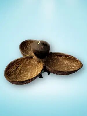 Coconut Shell Handicrafts Plates