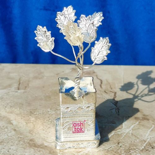 Silver Tulsi Tree