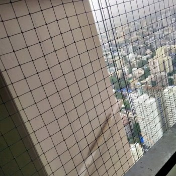 HDPE Bird Control Net, Color : Black