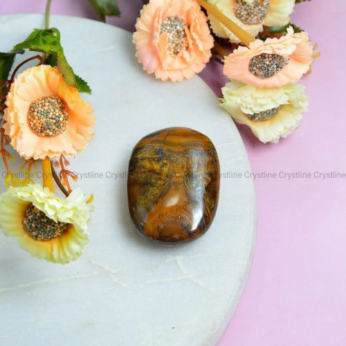 Tiger Eye Palmstone