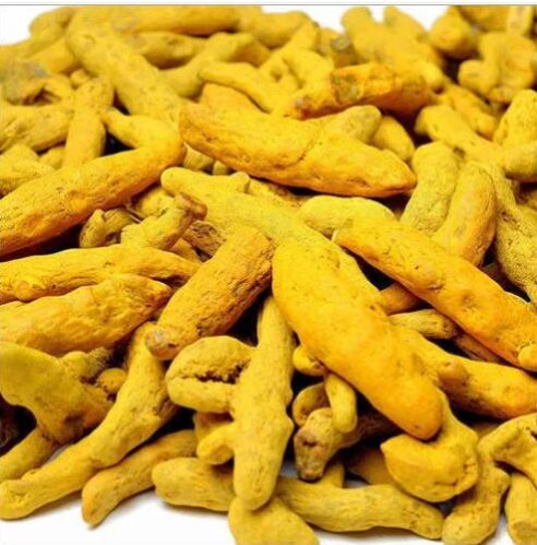 All Dried Turmeric Finger, Form : Powder, Packaging Type : Packet