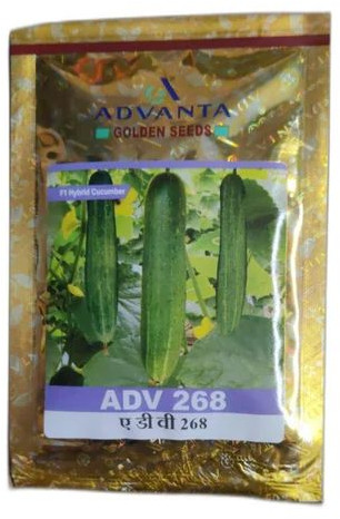Advanta ADV 268 Hybrid Cucumber Seeds, Packaging Type : Packet For Agriculture