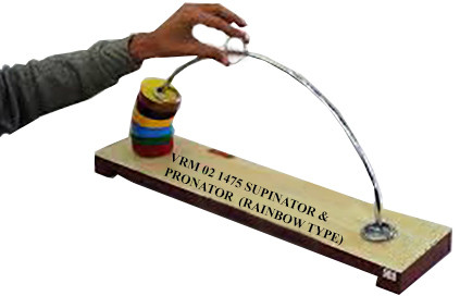 VRM 02 1475 Supinator Pronator
