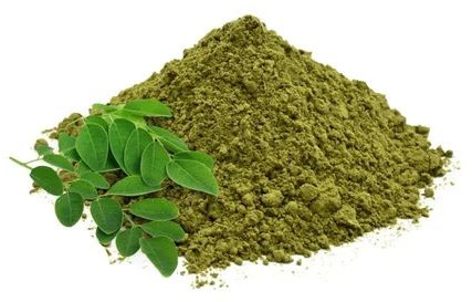 Moringa Leaves Powder 12 Months, Packaging Type : Plastic Pack