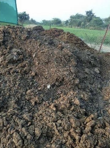 Cow dung, Form : Powder, Packaging Type : Brown