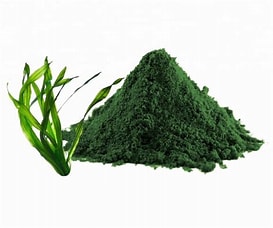 Organic Spirulina Powder, Color : Green, Packaging Type : Polybag, Plastic Bags, Plastic Bag, HDPE Drum