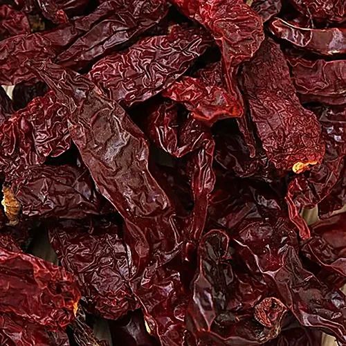 Natural Kashmiri Dried Red Chilli, Packaging Type : Paper Box, Plastic Packet For Cooking