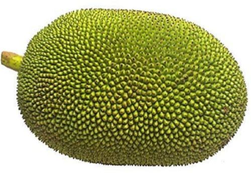 Jackfruit, Color : Green, Packaging Type : Jute Bag, Packaging Size : Fresh: Loose