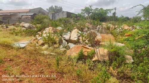 Quartz Minerals Bulk, Packaging Type : Green