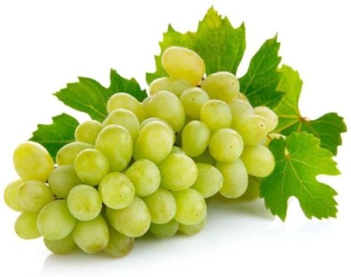 Fresh Green Grapes 5 To 7 Days, Packaging Type : Plastic Bag, Packaging Size : 5-25kg